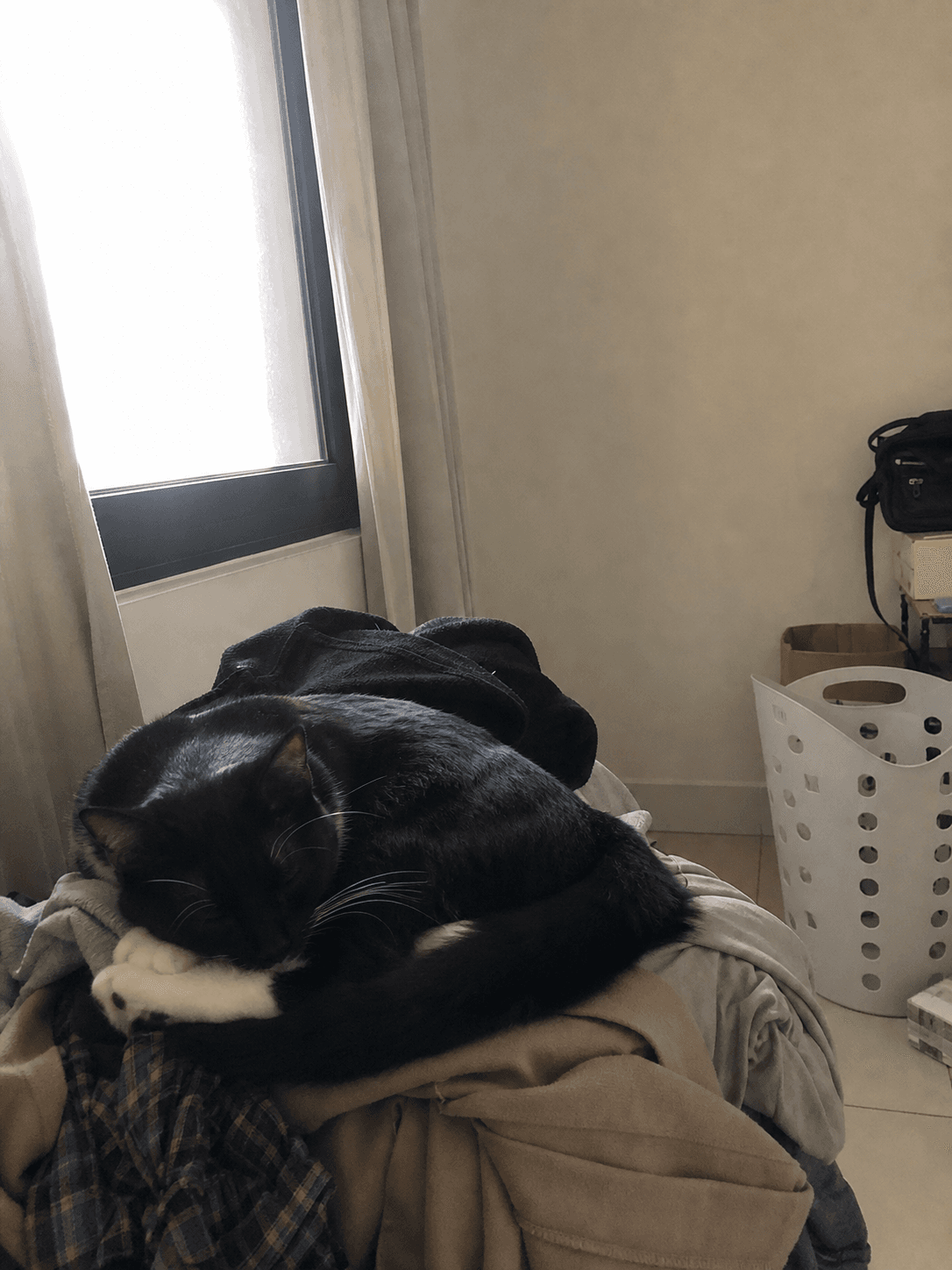 Bulan on Manja