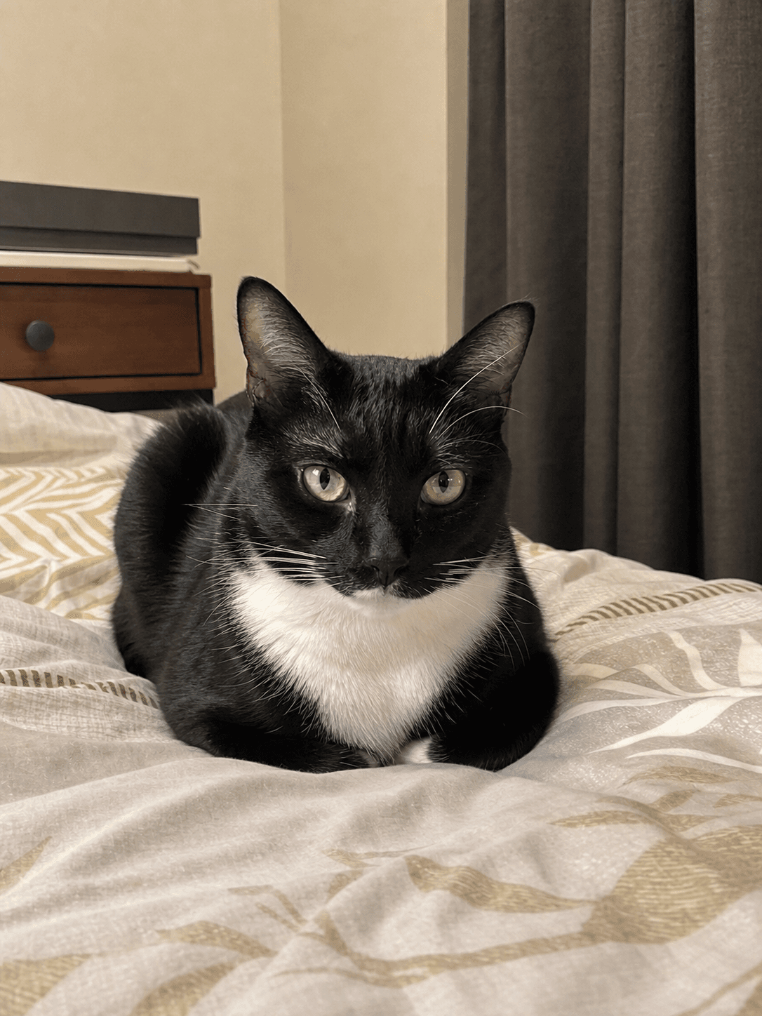 Bulan on Manja