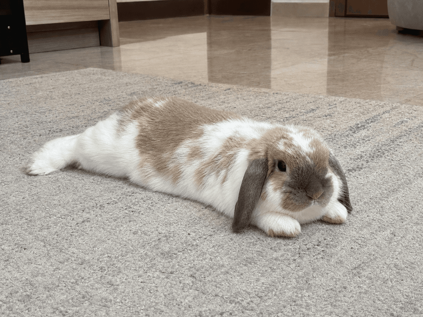 Anjir klepon udah kayak karpet aja 😭 gemes banget sih ni bocah gak nahan