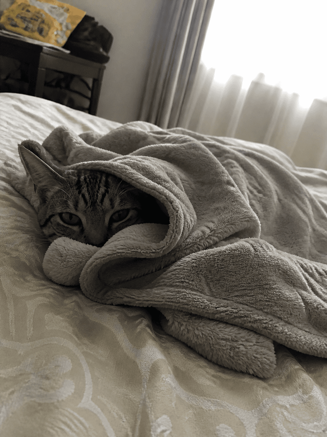 gais awan ni tak boleh blah betul la suka comfy comfy camni 😻 best gila je dia 