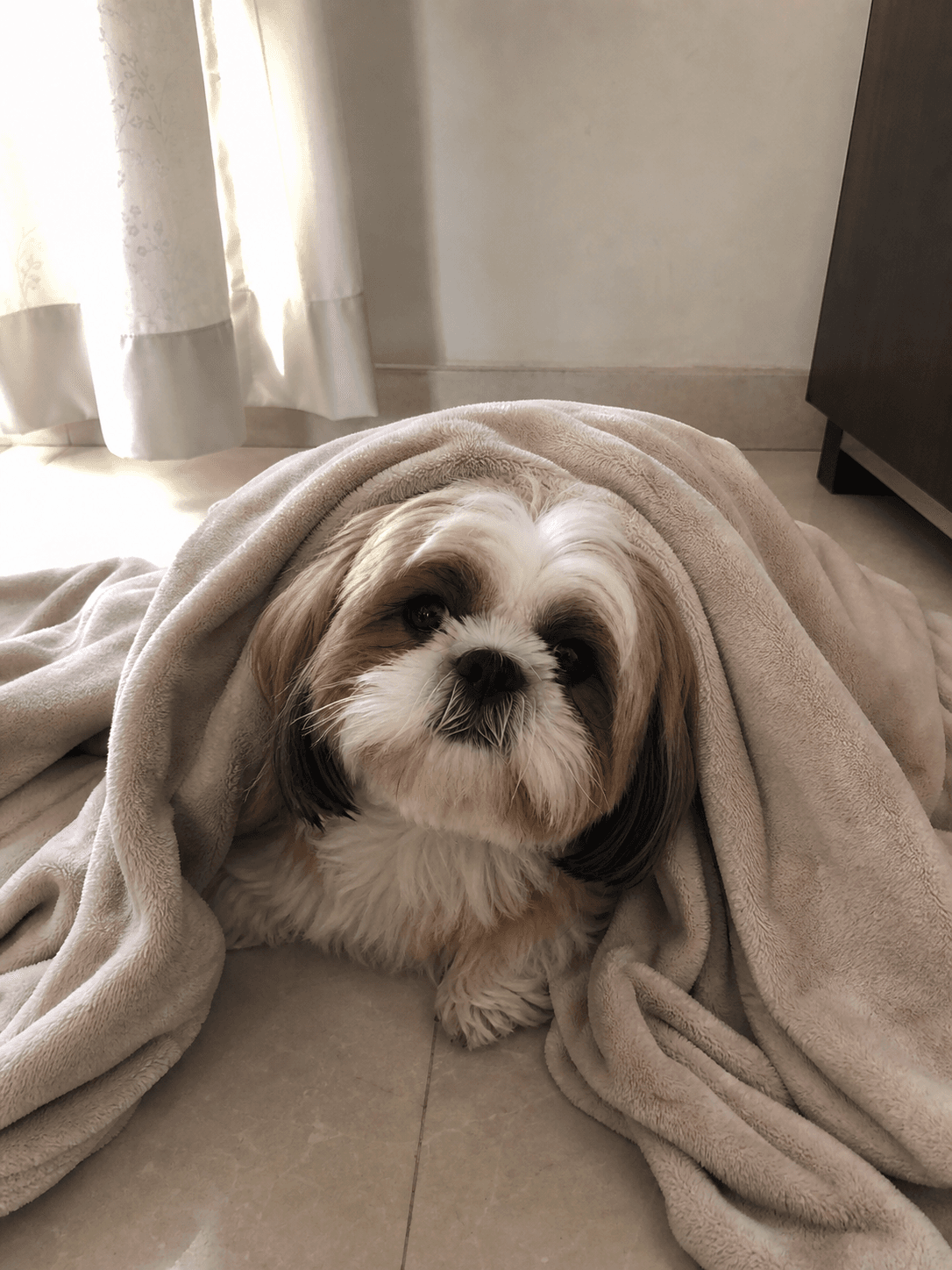 Dosa in her natural habitat. She confirm got that cozy-core vibe on lock, sia. M