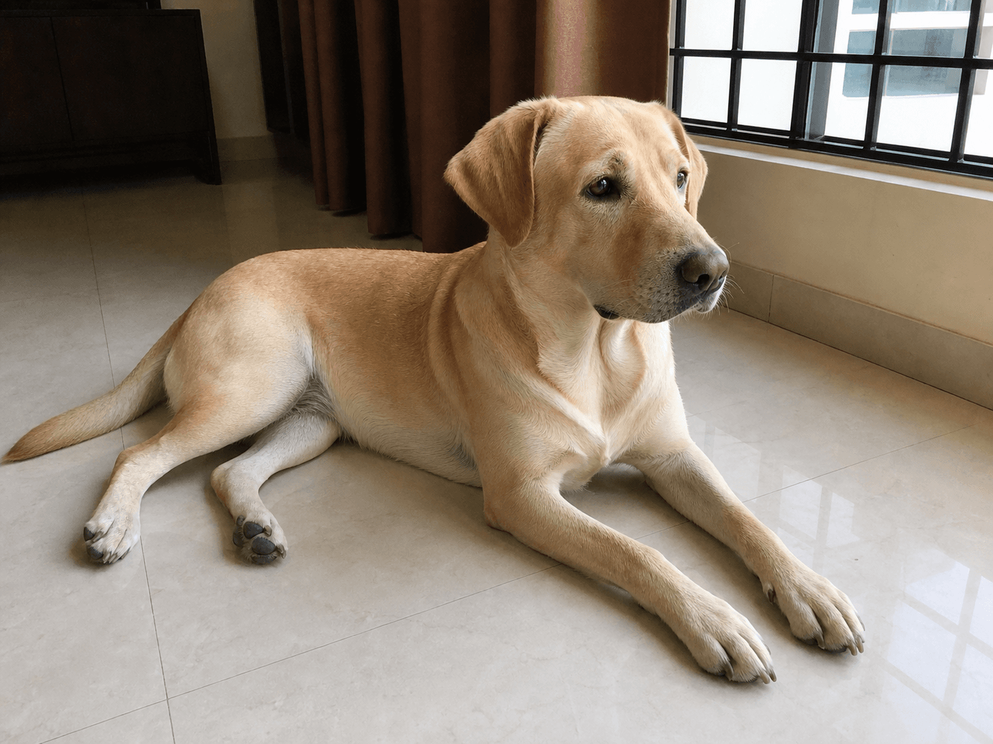 muruku really thought he hit the jackpot with these kitchen tiles 🧊 confirm shi