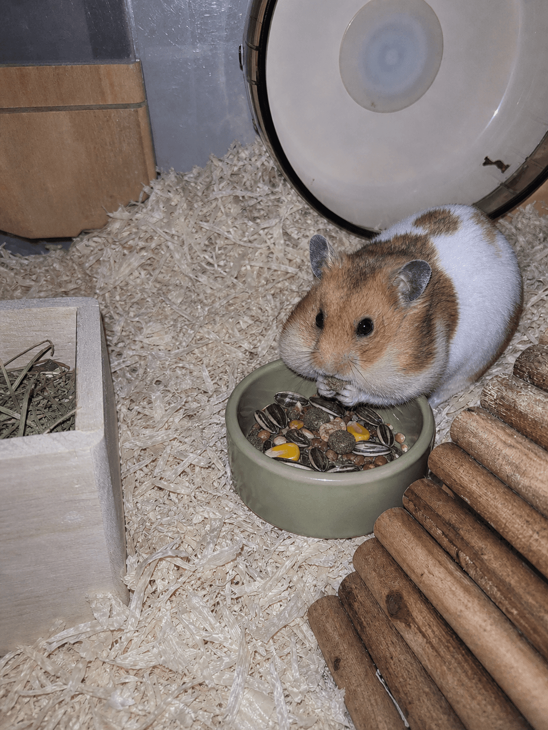 anjir taro lucu banget lagi makan sampe belepotan gitu gemes bgt pengen gigit 😭