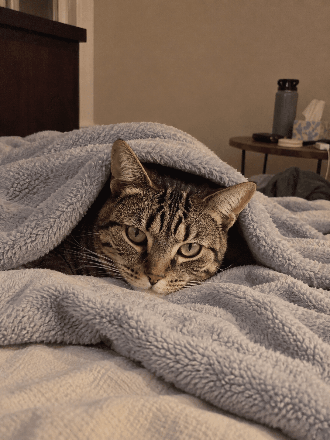 gaissss tengoklah teh ni, best gila do duk bawah blanket je. comel je lump dia �
