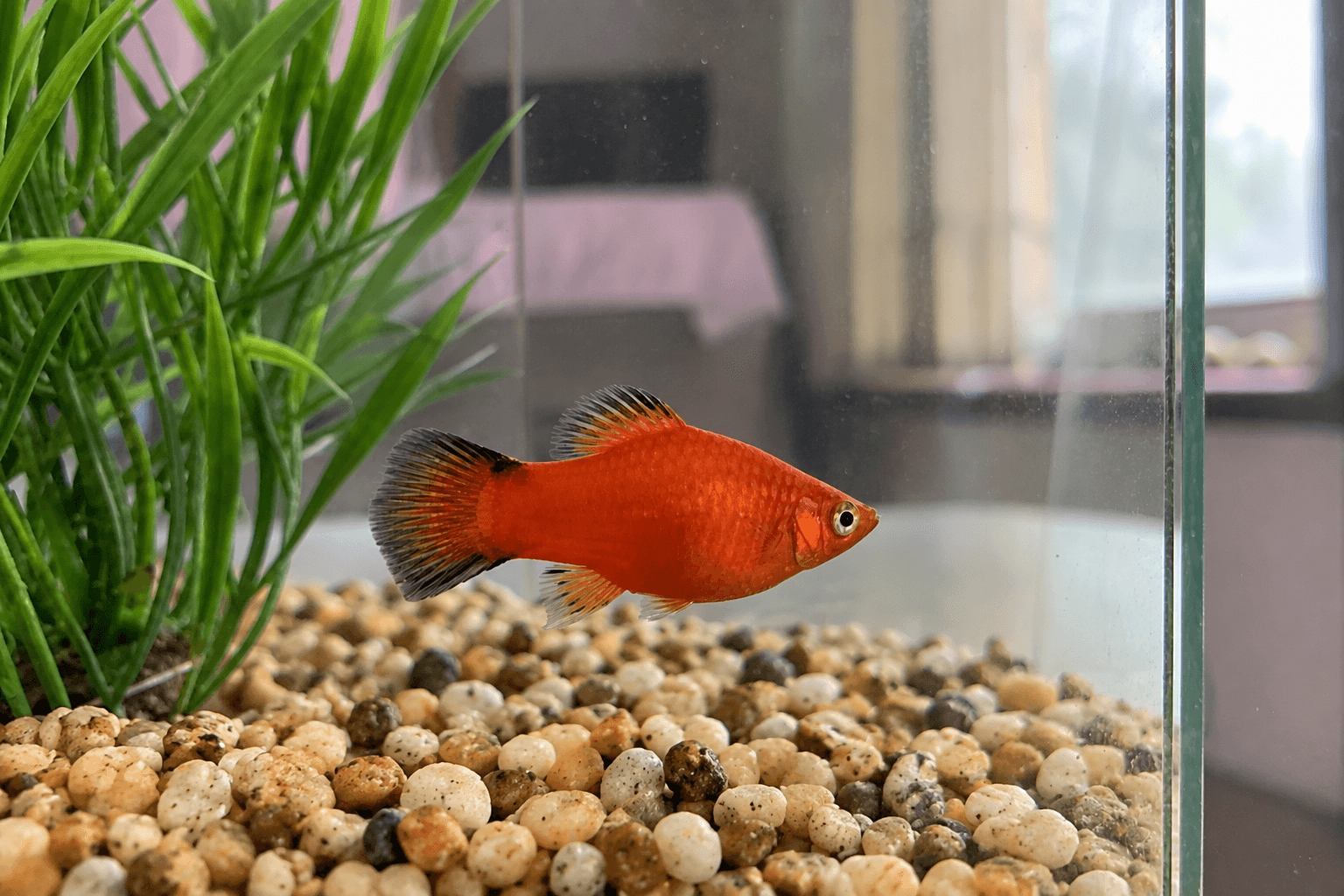 aruna lagi pose melayang nih anjir gemes banget gak sih 🥺🐟