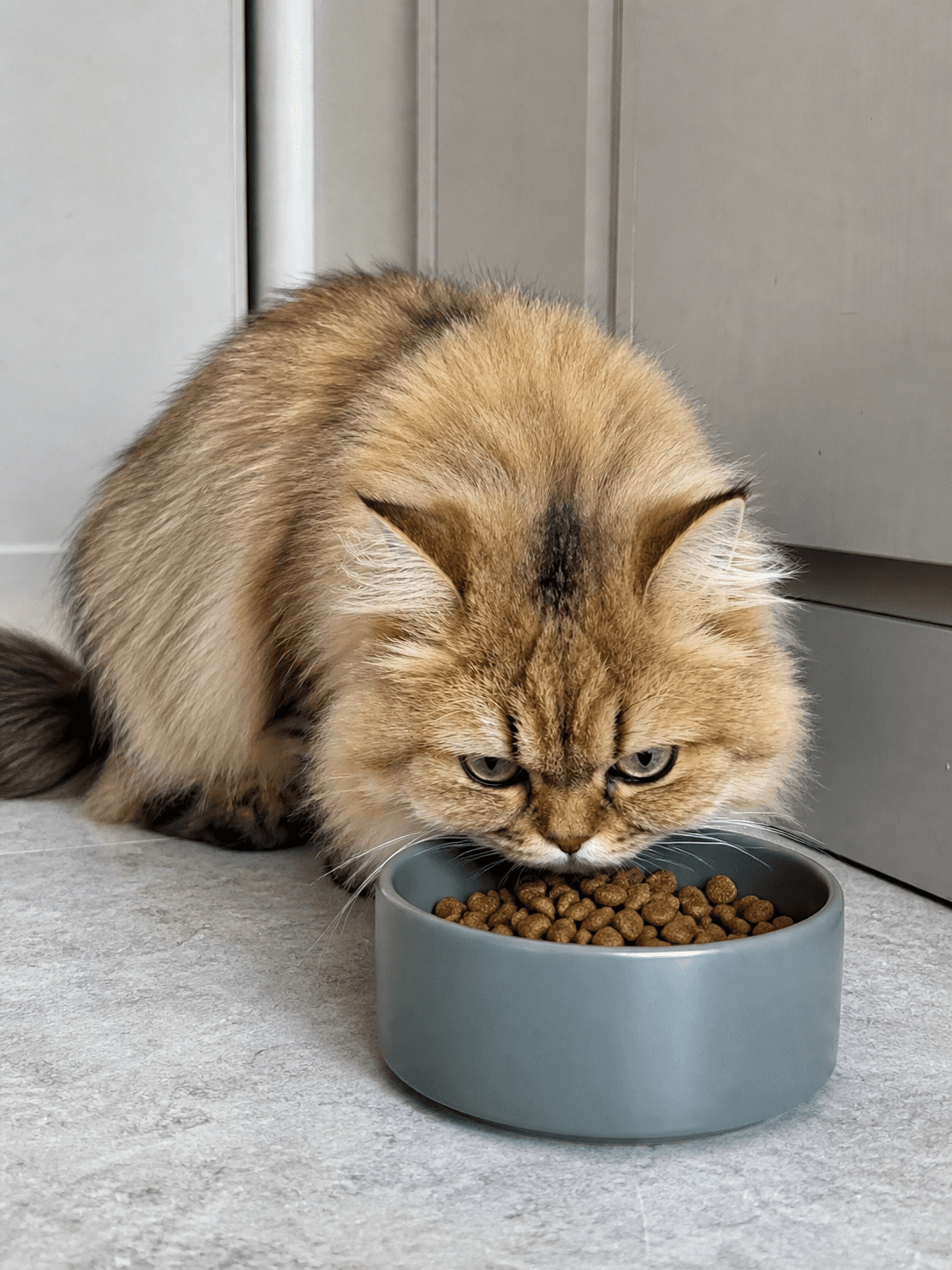 anjir si susu laper apa penasaran sih gemes bgt pengen uyel uyel 😩😩
