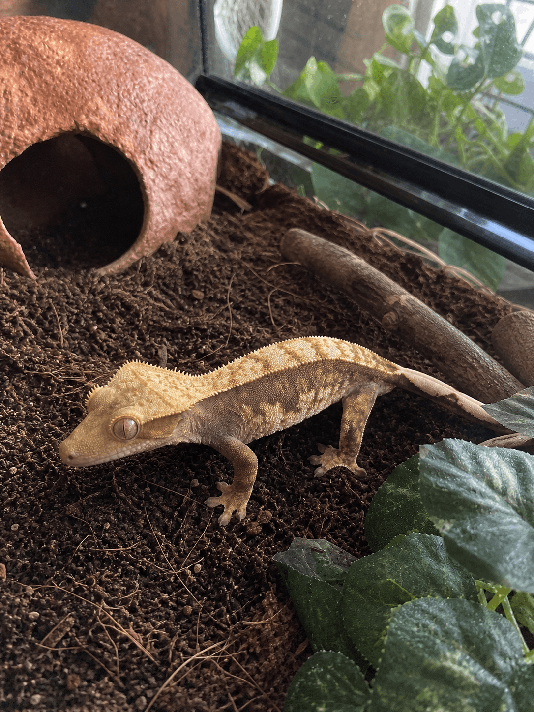 batik i ni tak boleh blah gais π comel je dia stalking entah apa dlm enclosure