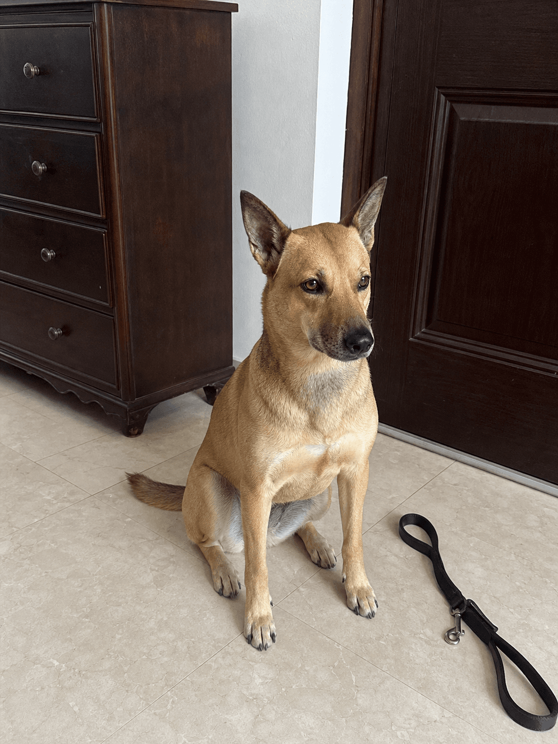 bro's waiting for his walkies sia, confirm think he can trick me π₯Ή
